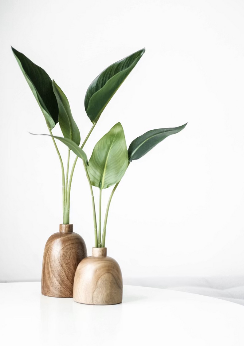 planten